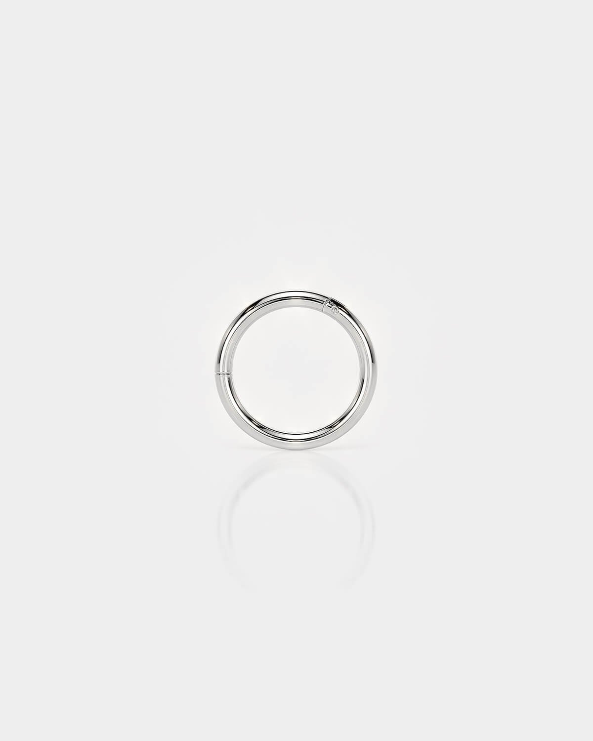 Highly polished titanium hinged segment ring for piercings on a light gray background.
