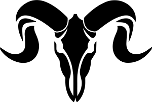 AURICLE
